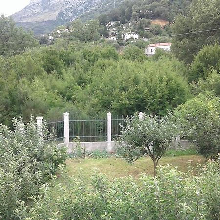 Danijela Apartmani Čanj Dış mekan fotoğraf