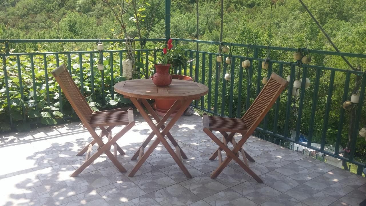 Danijela Apartmani Čanj Dış mekan fotoğraf