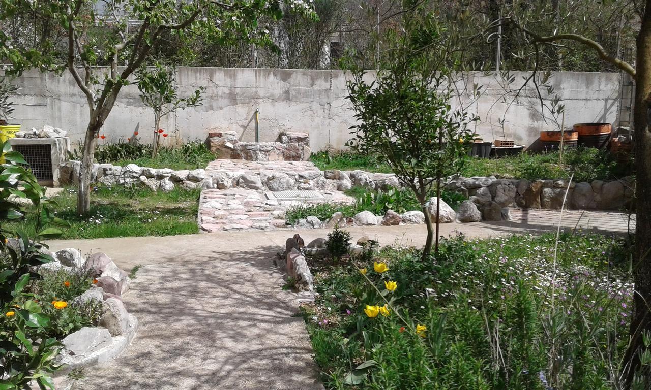 Danijela Apartmani Čanj Dış mekan fotoğraf