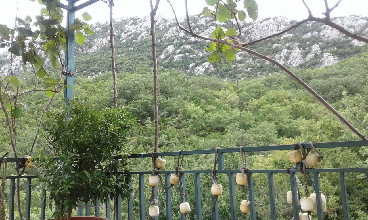 Danijela Apartmani Čanj Dış mekan fotoğraf
